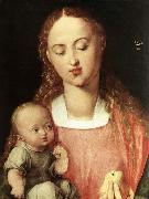 Albrecht Durer Madonna and Child with the Pear France oil painting artist
